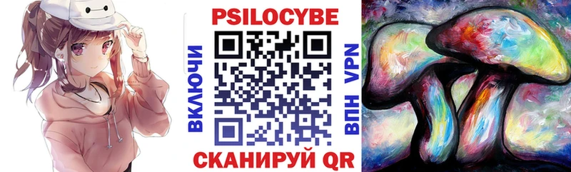 наркошоп  Дмитров  Псилоцибиновые грибы GOLDEN TEACHER 